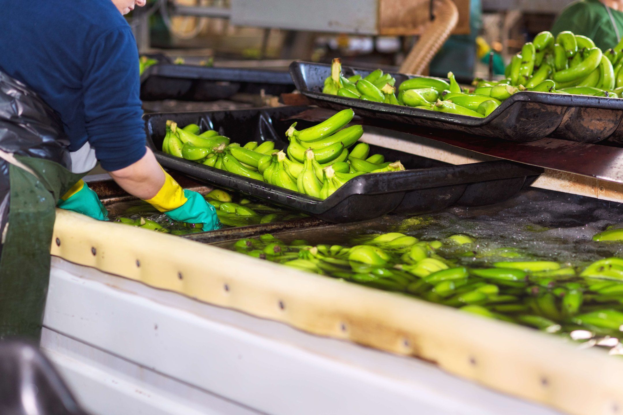 How to deal with fresh produce